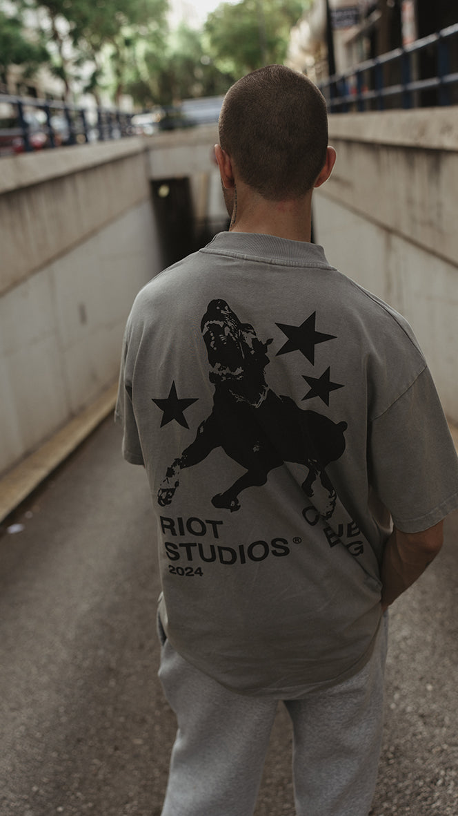 Concrete washed K9