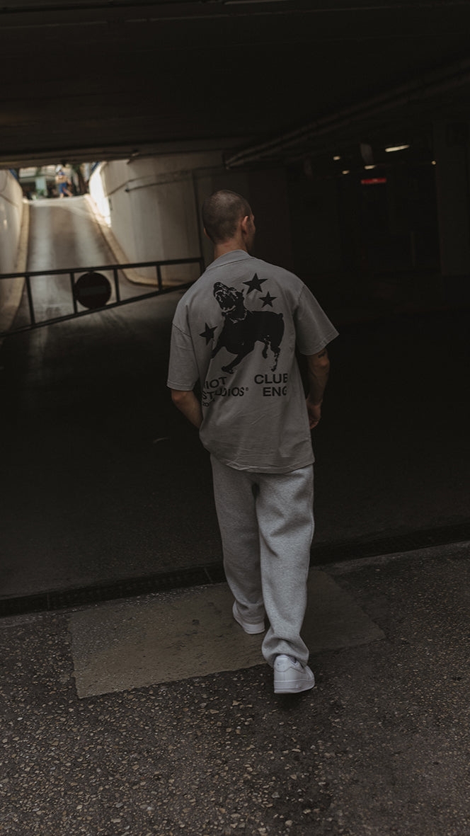 Concrete washed K9